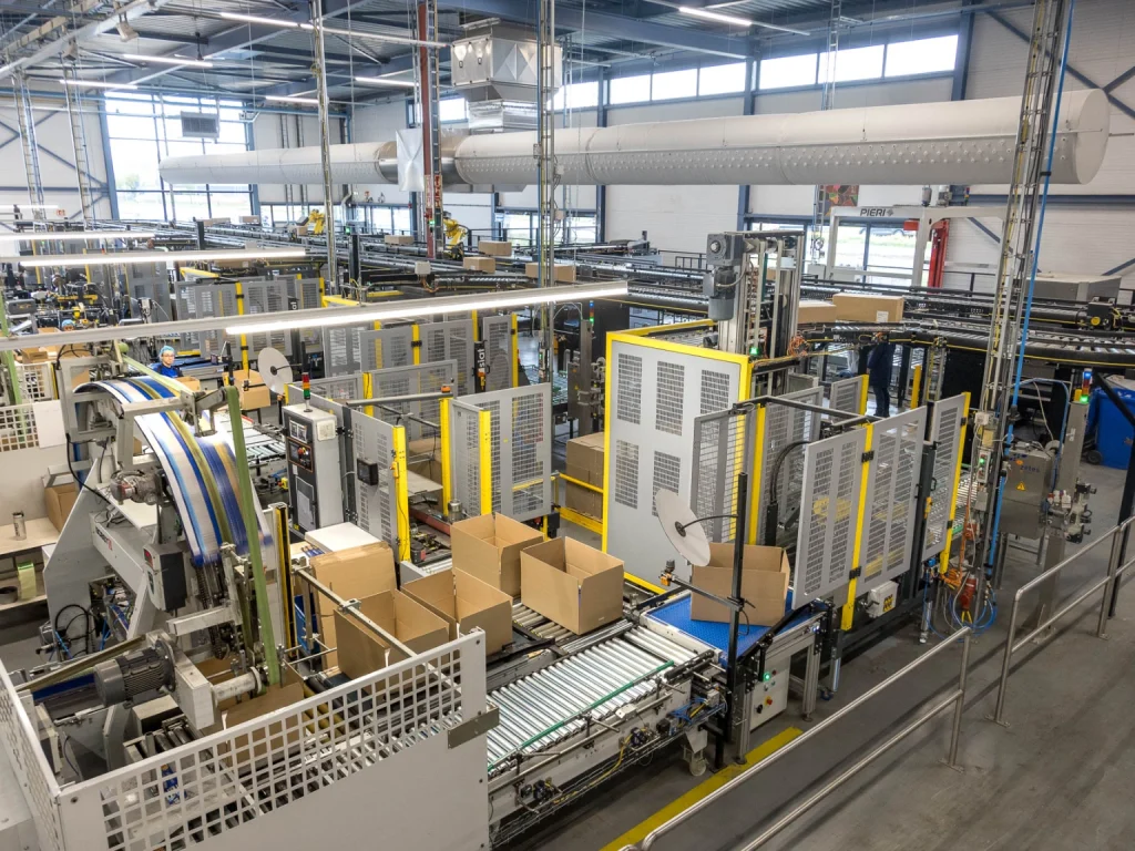 P&D MAES Pacoma Europe