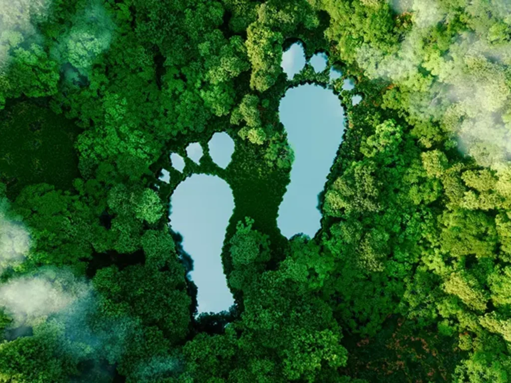 P&D duurzame verpakkingen